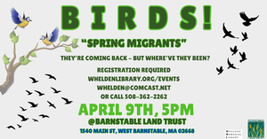 BIRDS - Spring Migra